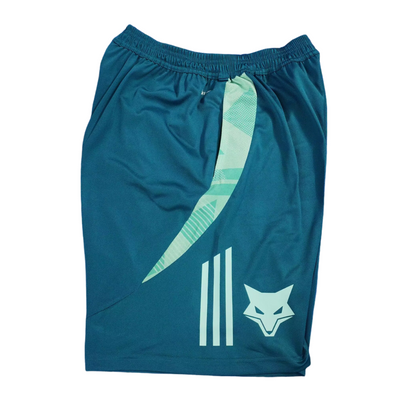 Kit de Treino Cruzeiro 25/26 Azul Claro