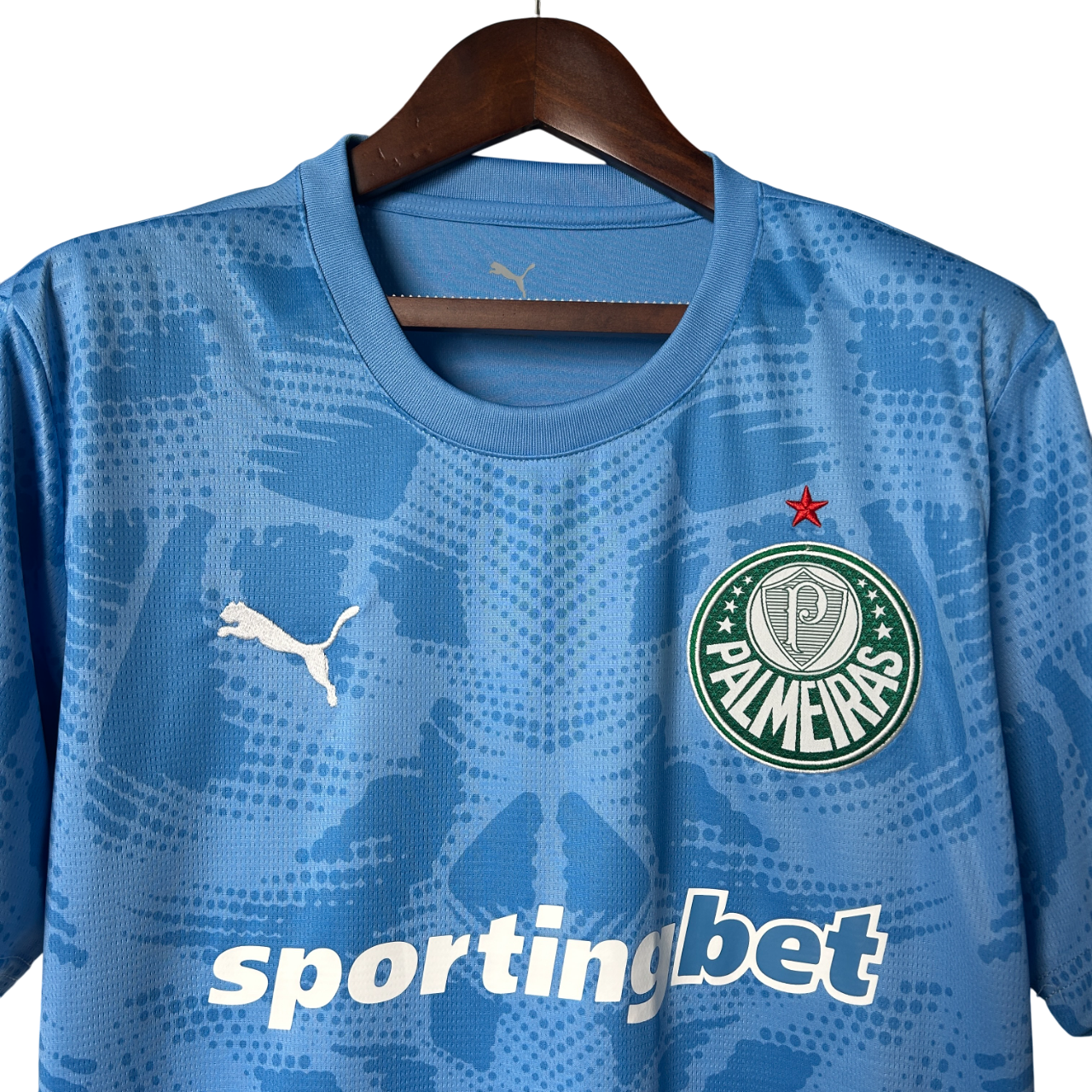 Camisa Palmeiras Goleiro 25/26 - Torcedor Puma Masculino - Azul
