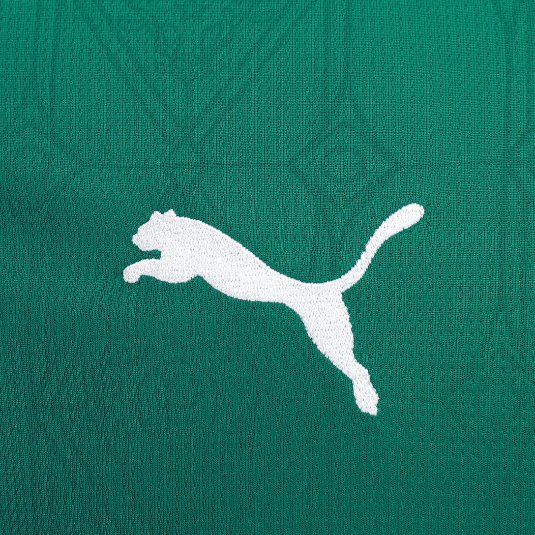 Camisa Palmeiras Home 25/26 - Puma Torcedor Masculina