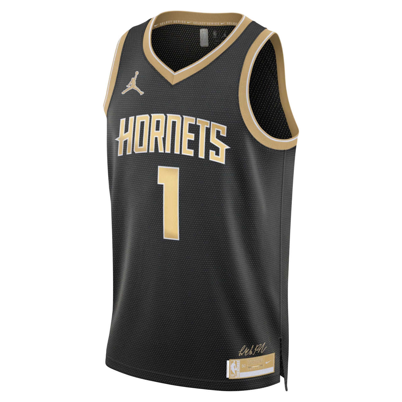 Camisa Regata NBA Charlotte Hornets 2024/25 Masculina - Nike